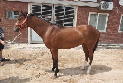 ����Ʈ�ڸ��� ����