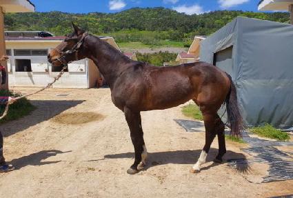 �ɹ��� ����