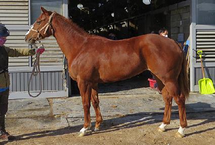 �븣���̼��� ����