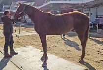 �ϸ� (HA RYUNG) ����