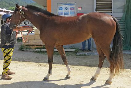 ���ν� ����