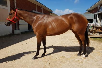 ��ŷĹ ����