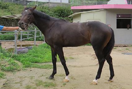 ����ƼƮ�� ����