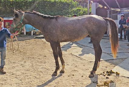 õ�� ����