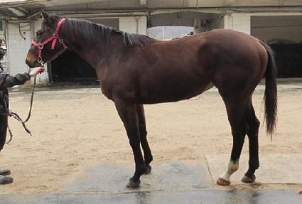 �������� ����