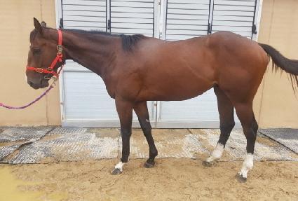 �Ƶ�����Ʈ ����