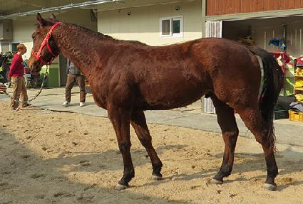 ������ ����