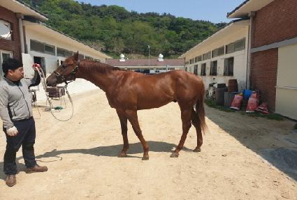 ťƮ���� ����