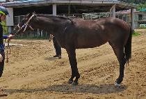 ������Ʈ (ON POINT) ����