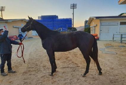 ��ǳ�� ����