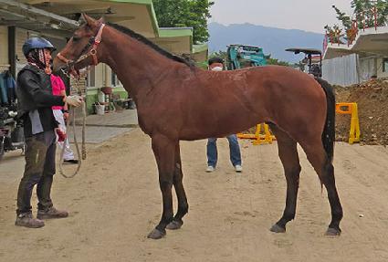 ���Ư�� ����