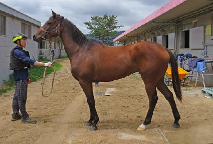 ��Ÿ���� ����