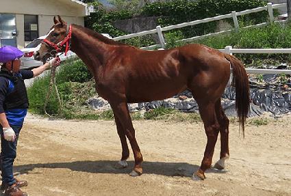 �ο����� ����