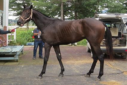 �����ӽ� ����