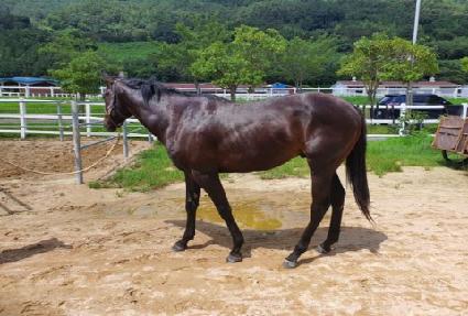 �����Ƕ��̴� ����