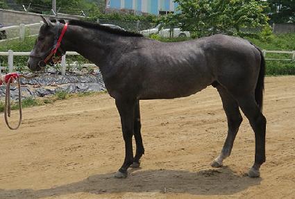 ȸ�η� ����