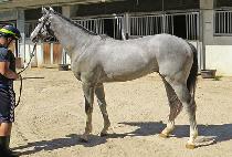 �۷ι����� (GLOBAL STORM) ����