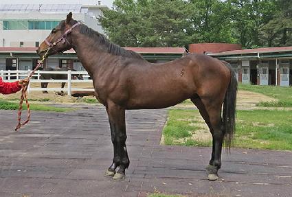 ��ƶ󺸾� ����