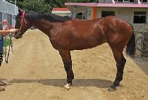 ���̾� (JJINIYA) ����