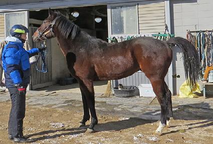 Ʈ���ö��ϸ� ����