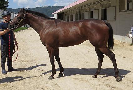 �����ǹ̼� ����