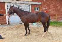 ��Ÿ��ƽ���� (FANTASTIC LEADER) ����