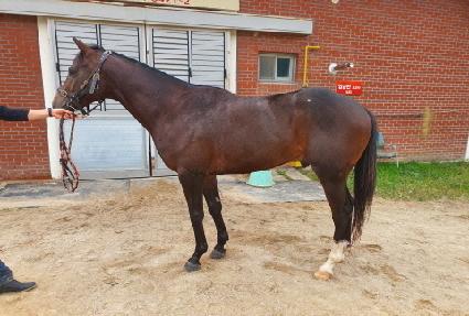 ��Ÿ��ƽ���� ����