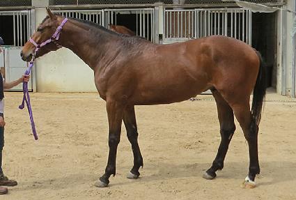 �۷ι����� ����