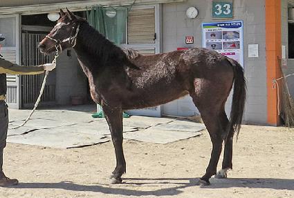 �ݹ� ����