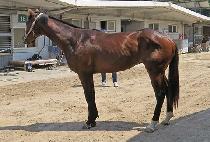 ���۸� (GEOLJAK MAN) ����