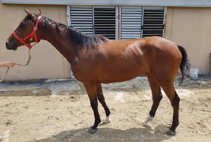 ���̿��÷��� ����