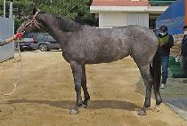 ť�ǵ�����Ʈ (CUPID POINT) ����