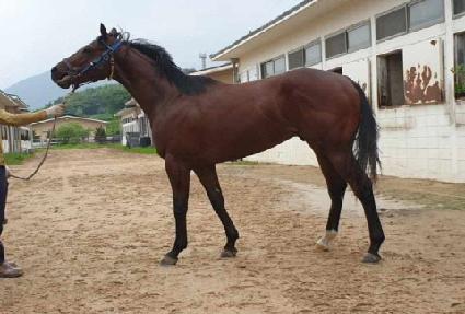 �´������� ����