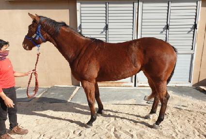 ������ ����