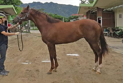 ����Ʈīī�� ����