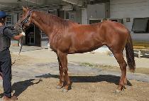 �󺻹ٴ� (NONGBON BADA) ����