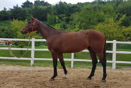 ����Ŀ�ƾ ����