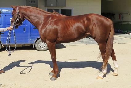 ����Ǯ�ǽ� ����