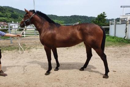 Ÿ������Ʈ ����