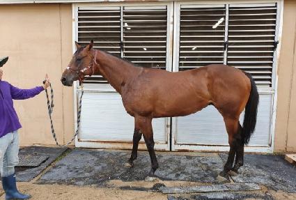 �������ű� ����