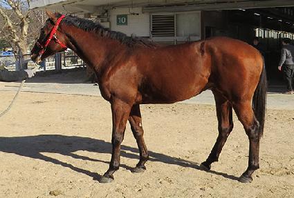 ��Ʈ�� ����