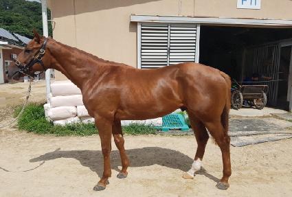 �����ڵ� ����