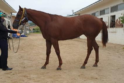 �ݺ����� ����