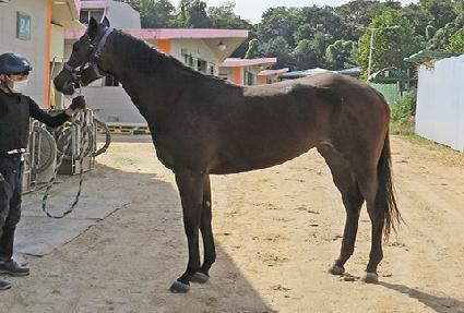 ����Ǯ�ӽ�Ŷ ����