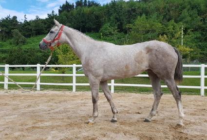 ���ҿ��� ����