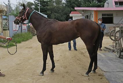 ������Ʈ ����