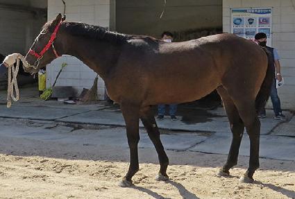 ������Ʈĸƾ ����