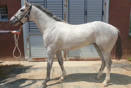 �����̽��͸� ����