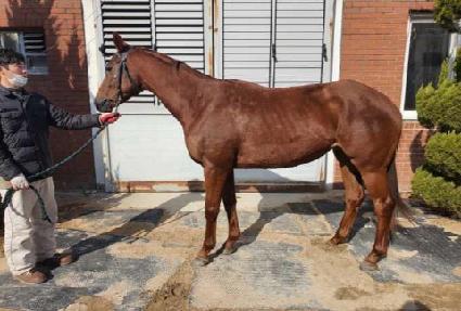 �޴�ĳ�� ����