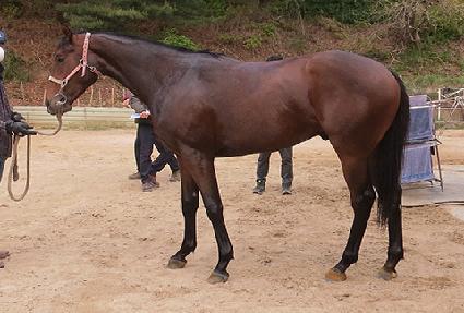 �½��Ŀ� ����